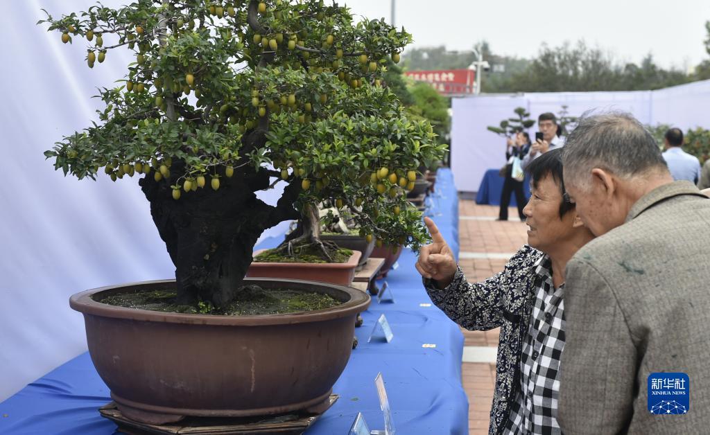 大奖网首页